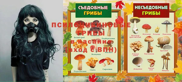 мдма Ельня